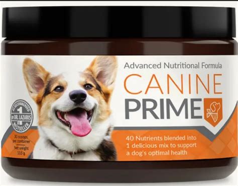 is canine prime a con reviews|independent review of canine prime.